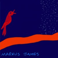 Purchase Markus James - Nightbird