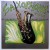 Buy Mel Collins - Saxophone Ballads Mp3 Download