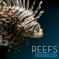 Purchase Bleeding Fingers - Earth Tones: Reefs Mp3 Download