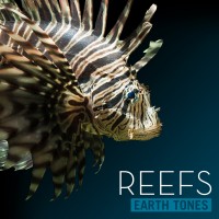 Purchase Bleeding Fingers - Earth Tones: Reefs