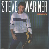 Purchase Steve Wariner - Midnight Fire (Vinyl)