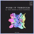 Buy Fake Mood & Felix Raphael - Push It Through (CDS) Mp3 Download