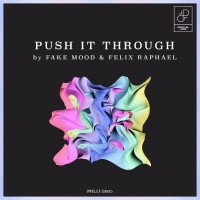 Purchase Fake Mood & Felix Raphael - Push It Through (CDS)
