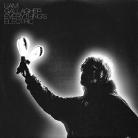 Purchase Liam Gallagher - Everything's Electric (CDS)