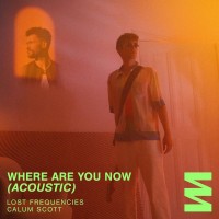 Purchase Lost Frequencies - Where Are You Now (Acoustic) (With Calum Scott) (CDS)