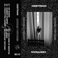 Purchase Cestrian - Curtain Twitcher