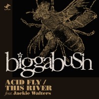 Purchase Biggabush - Acid Fly / This River (CDS)