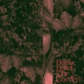 Buy Basia Bulat - The Garden Mp3 Download