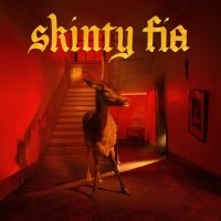 Purchase Fontaines D.C. - Skinty Fia