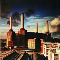 Purchase Pink Floyd - Animals (Reissued 2016)