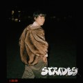 Buy Nariaki Obukuro - Strides Mp3 Download