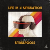 Purchase Smallpools - Life In A Simulation
