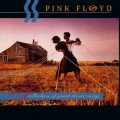 Buy Pink Floyd - A Collection Of Great Dance Songs (Remastered) Mp3 Download