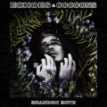 Buy Brandon Boyd - Echoes & Cocoons Mp3 Download