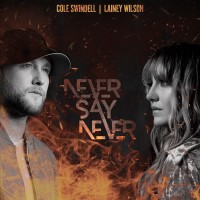 Purchase Cole Swindell - Never Say Never (Feat. Lainey Wilson) (CDS)