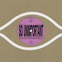 Purchase Ethan Gruska - So Unimportant (Feat. Bon Iver) (CDS)