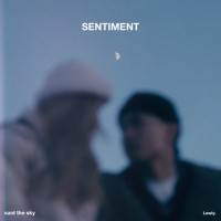 Purchase Said The Sky - Sentiment