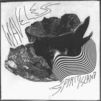 Purchase Waveless - Spirit Island