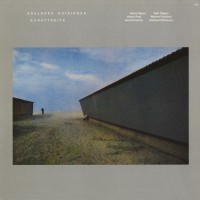 Purchase Adelhard Roidinger - Schattseite (Vinyl)