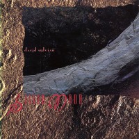 Purchase David Sylvian - Silver Moon (CDS)