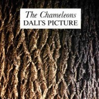 Purchase The Chameleons - Dali's Picture (Vinyl)
