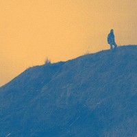 Purchase Dead Soft - Big Blue