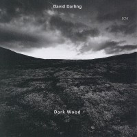 Purchase David Darling - Dark Wood