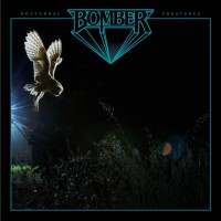 Purchase Bomber - Nocturnal Creatures