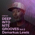 Buy VA - Deep Into Nite Grooves Vol. 5 (Selected By Demarkus Lewis) Mp3 Download