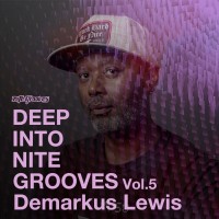 Purchase VA - Deep Into Nite Grooves Vol. 5 (Selected By Demarkus Lewis)