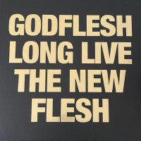 Purchase Godflesh - Long Live The New Flesh CD3