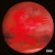 Buy Luchè - Dove Volano Le Aquile Mp3 Download