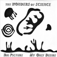 Purchase Wonders Of Science - Big Picture & My Only Desire (Vinyl)