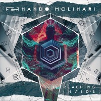 Purchase Fernando Molinari - Reaching Inside