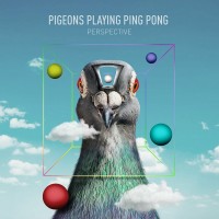 Purchase Pigeons Playing Ping Pong - Perspective