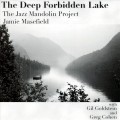 Buy The Jazz Mandolin Project - The Deep Forbidden Lake Mp3 Download