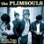 Buy The Plimsouls - Beach Town Confidential Mp3 Download