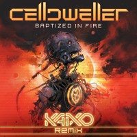 Purchase Celldweller - Baptized In Fire (Kaixo Remix) (CDS)