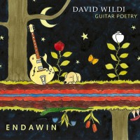 Purchase David Wildi Guitar Poetry - Endawin