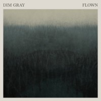 Purchase Dim Gray - Flown