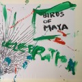 Buy Birds Of Maya - Celebration Mp3 Download