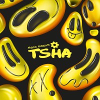 Purchase VA - Fabric Presents Tsha (Mixed)