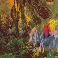 Purchase Wake - Thought Form Descent