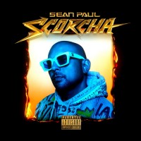 Purchase Sean Paul - Scorcha