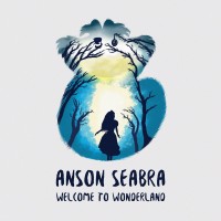 Purchase Anson Seabra - Welcome To Wonderland (CDS)