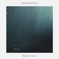Purchase Novarupta - Marine Snow