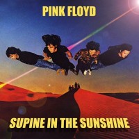 Purchase Pink Floyd - Supine In The Sunshine (Vinyl) CD1
