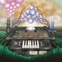 Purchase Stan Forebee - Orange