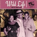 Buy VA - Wild Life (And All About Love) Mp3 Download