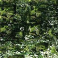 Buy Gas - Der Lange Marsch Mp3 Download